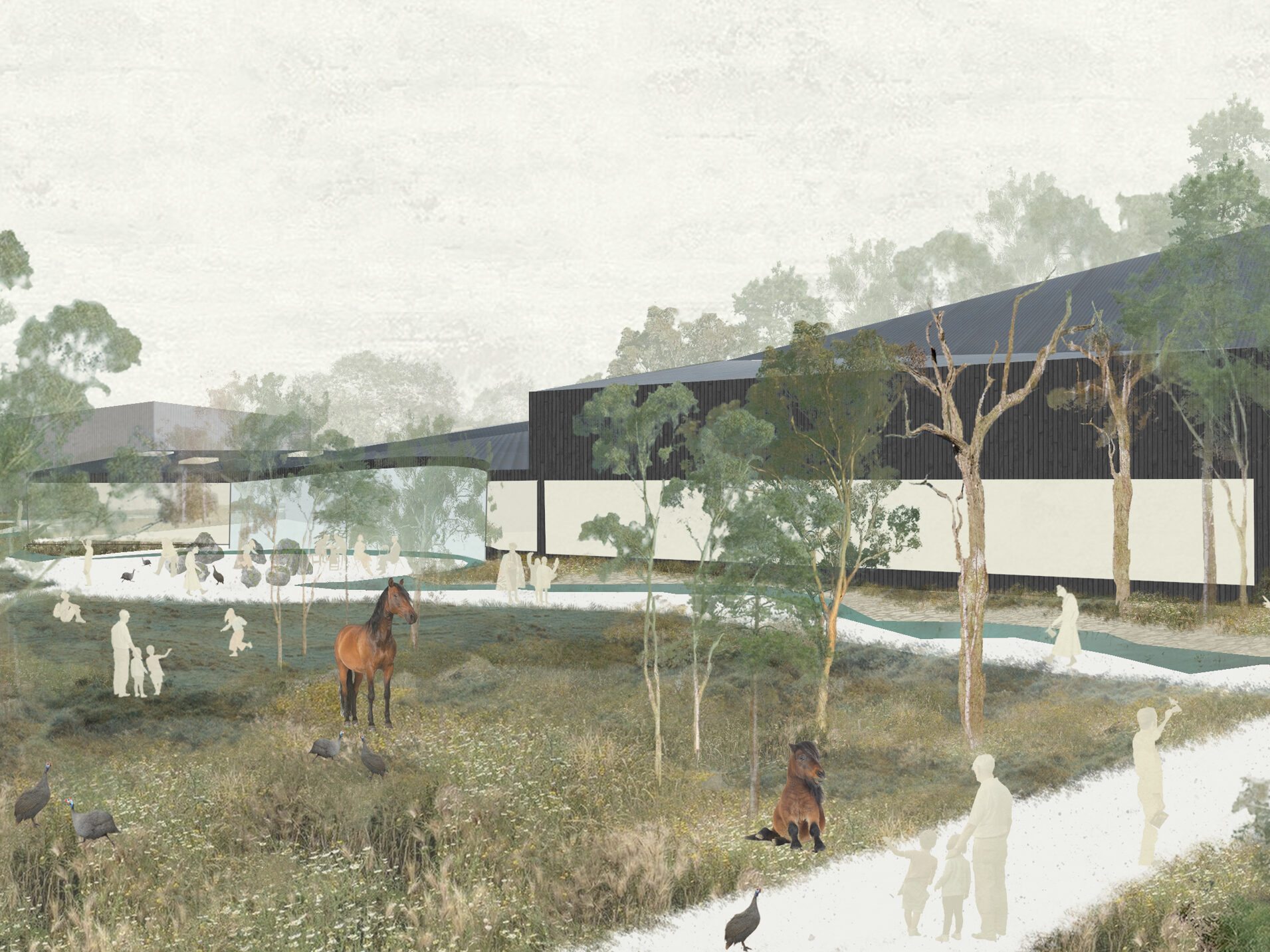 Collage render of design option concept | Cambridge architects CDC Studio