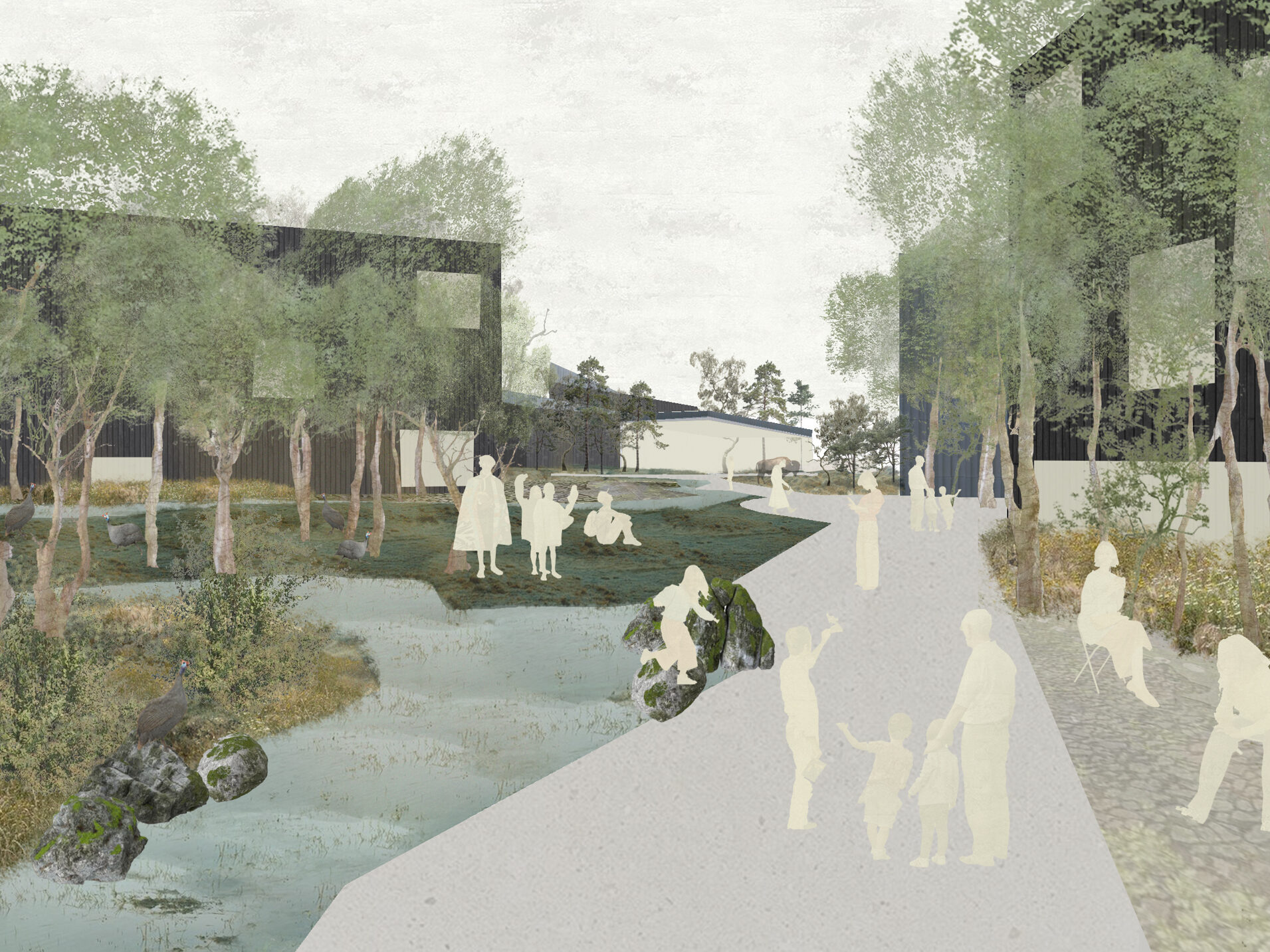 Collage render of design option concept | Cambridge architects CDC Studio