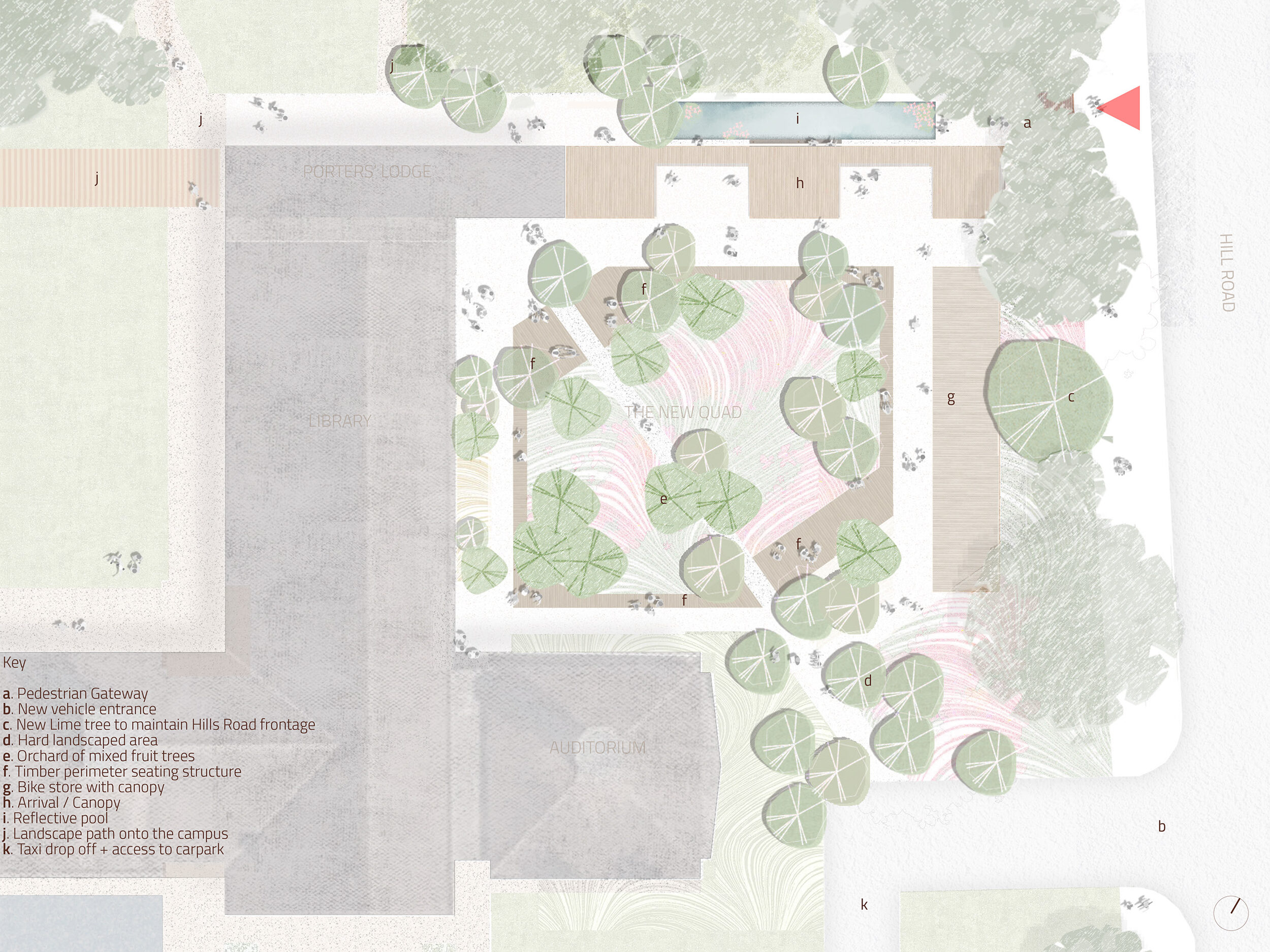 Architects CDC Studio Illustrated landscape plan showing new proposed quad with orchard of mixed fruit trees, timber seating and a reflected pool | cambridge